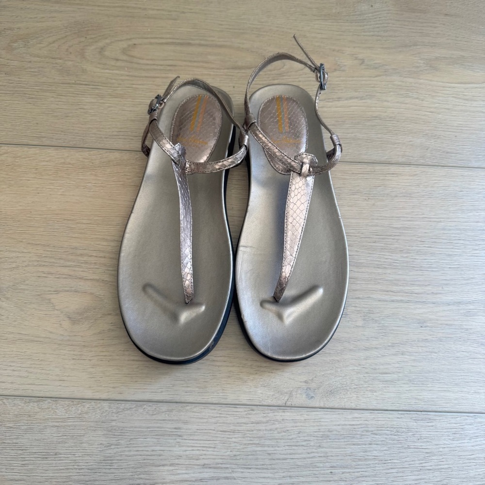 Sam Edelman Naomi Clay Silver Slip On Open Toe Adjustable Ankle Straps Sandals 9